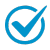 Check Mark Icon